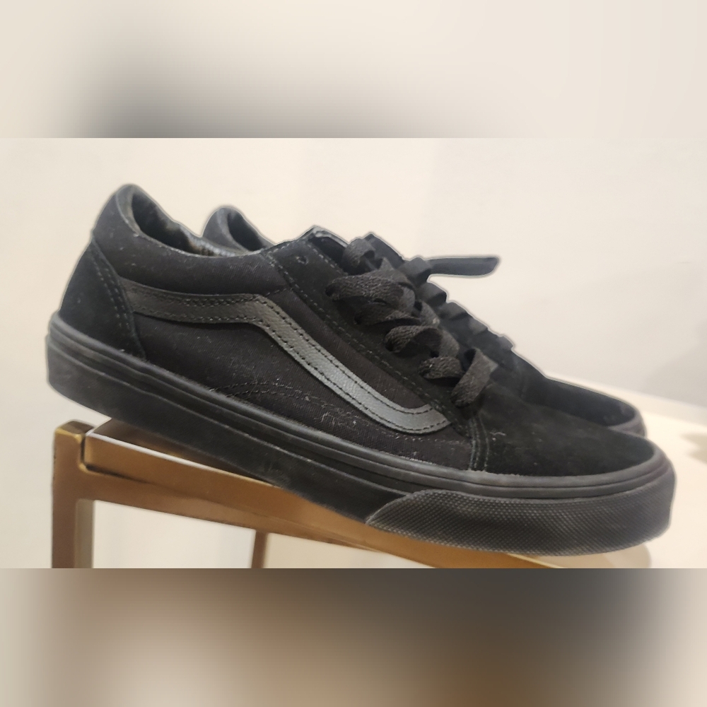 Vans Skate Shoes